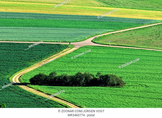 Schwaebische Alb; Landschaft mit Aecker, Wiesen; Felder und Hecken; swabian alps; landscape