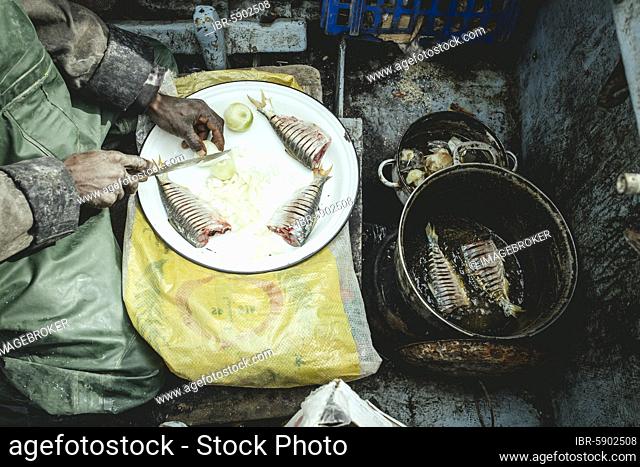 Preparation of the morning meal, sardinella, on the boat of fisherman Ben Abden, fishing village on the Atlantic Ocean, Nouamghar, Mauritania, Africa