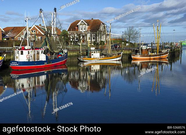 Crab cutter in the harbour, Neuharlingersiel, Lower Saxony, Germany, Europe