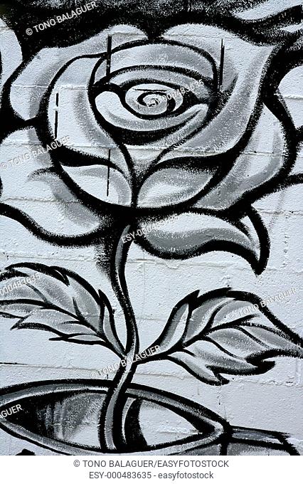 Black and white rose street graffiti paint detail wall