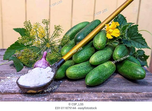 plucked cucumbers and ingredients for their salting