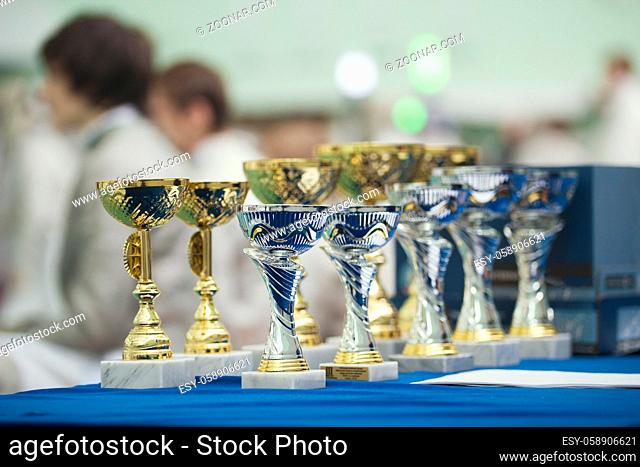 Trophies for winners on the fencing competition, close up