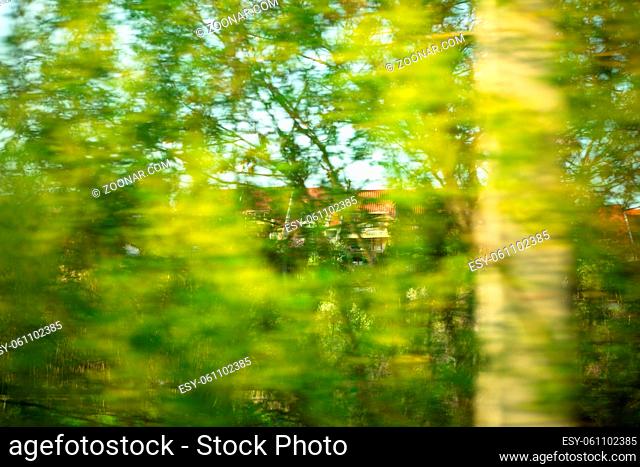 Vegetative landscape, green trees. Abstract blurry background. Photo in motion from the window of a moving car