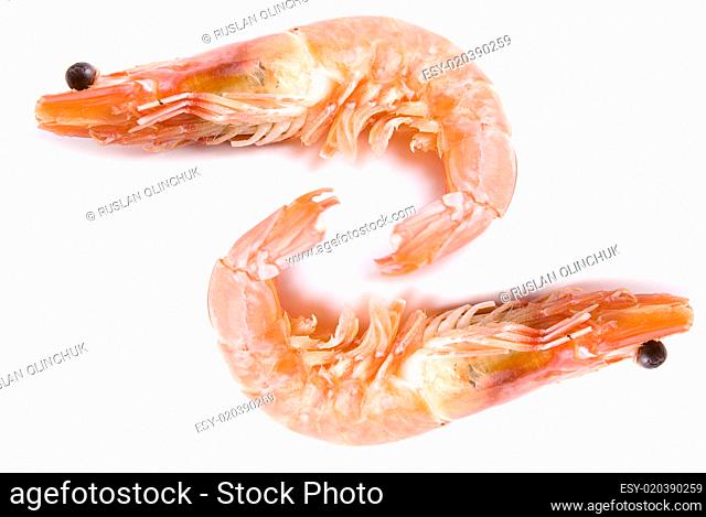 Two Shrimps