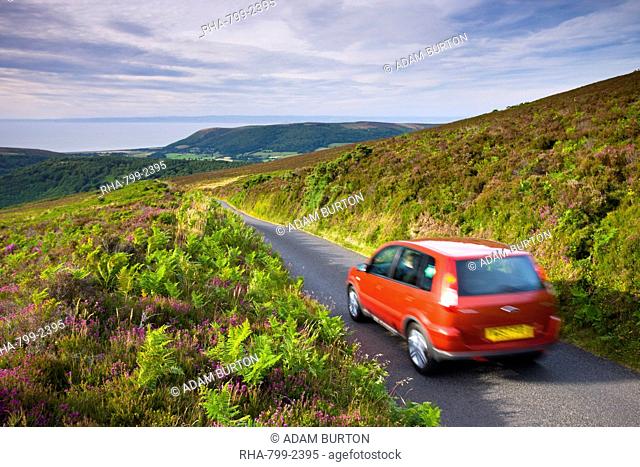 Car driving down Dunkery Hill on a small lane, Exmoor National Park, Somerset, England, United Kingdom, Europe
