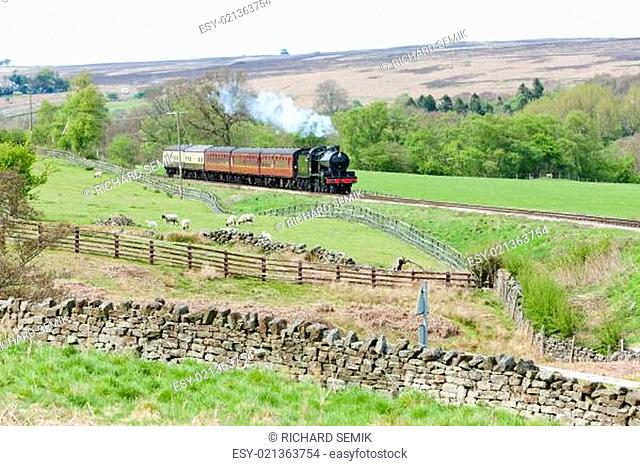 steam train, North Yorkshire Moors Railway (NYMR), Yorkshire and the Humber, Eng