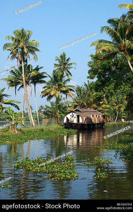 Traditional houseboat on Kerala backwaters. Kerala, India, Asia