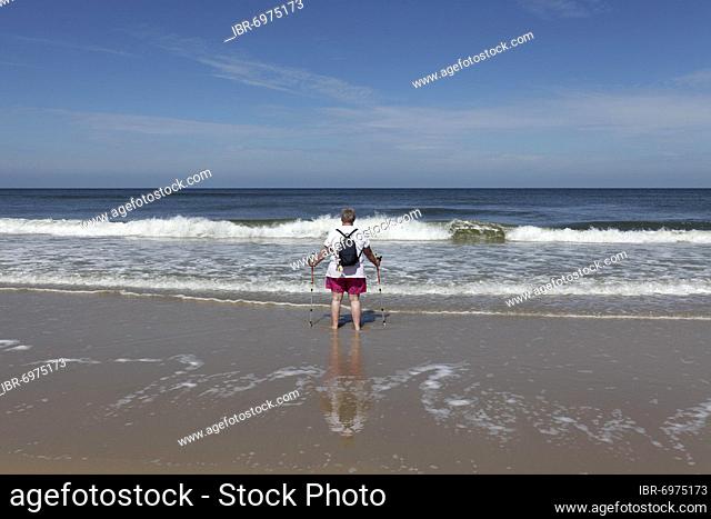 Lone beach walker looking out to sea, barefoot, with sticks and backpack, Sylt, North Frisian Islands, North Frisia, Schleswig-Holstein, Germany, Europe