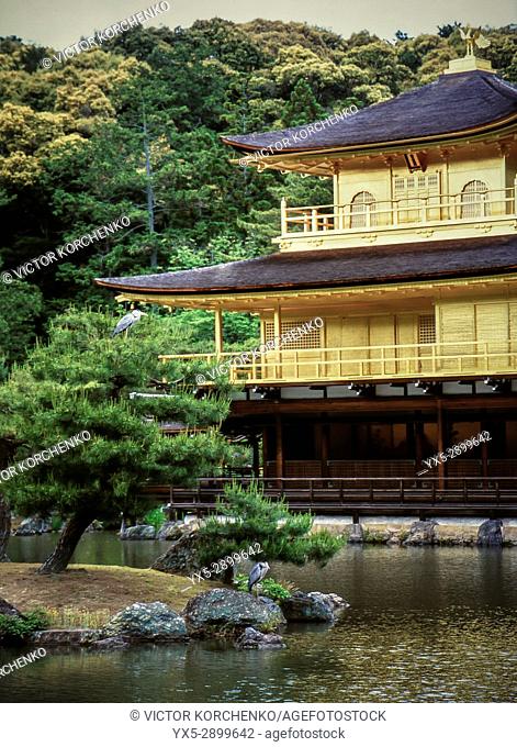 Golden Pavilion in Rokuon-ji temple, Kyoto, Japan
