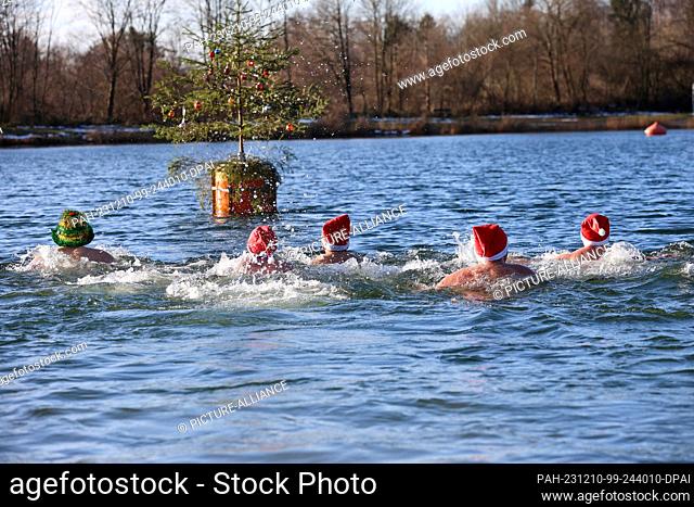 10 December 2023, Baden-Württemberg, Ertingen: Men and a woman in Santa hats swim around a Christmas tree attached to a buoy in the Schwarzachtalsse on the 2nd...