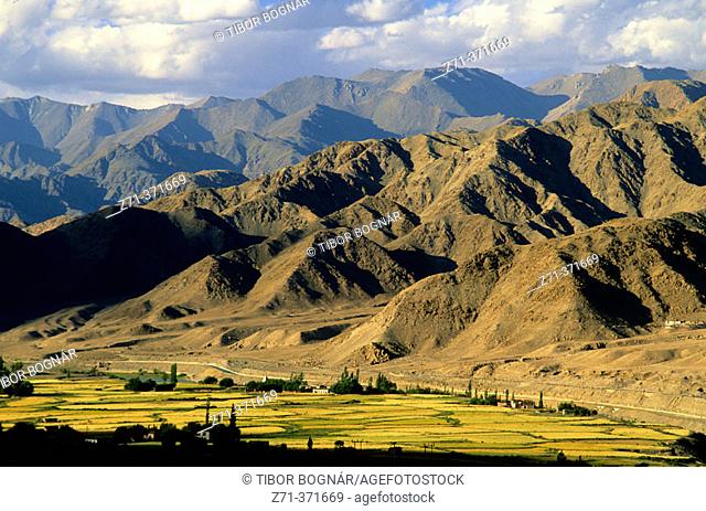 Indus River Valley. Ladakh. Jammu and Kashmir. India
