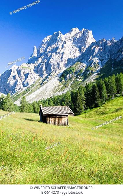 Rotwand meadows, Dolomites, Italian Alps, Italy, Europe