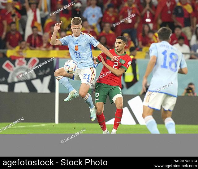 12/06/2022, Education City Stadium, Doha, QAT, World Cup FIFA 2022, Round of 16, Morocco vs Spain, in the picture Spain's forward Dani Olmo
