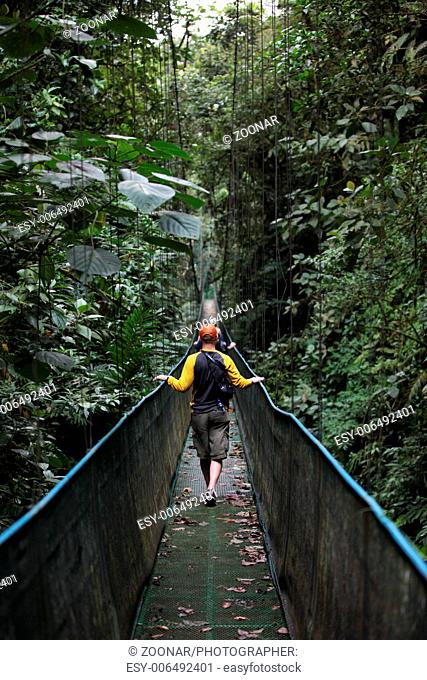 Hanging bridge in the rain forest