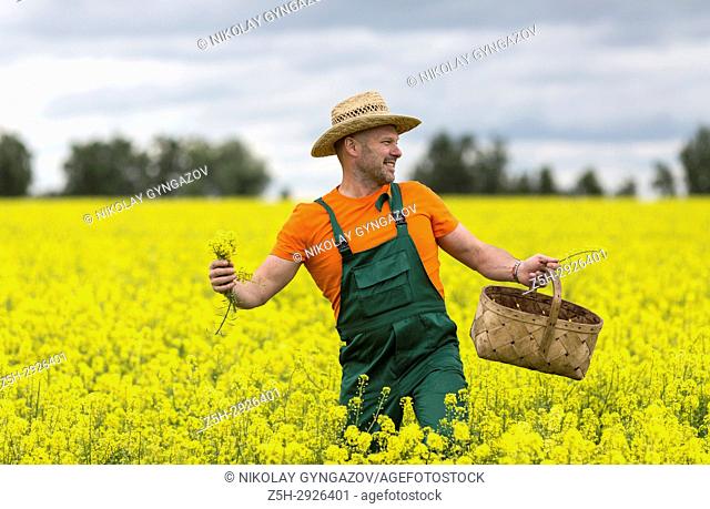 A farmer in a mustard field
