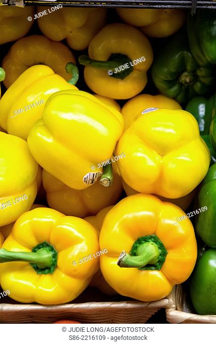 Yellow Peppers, Displayed in an Upright Open Carton, at a Manhattan, New York City Food Market