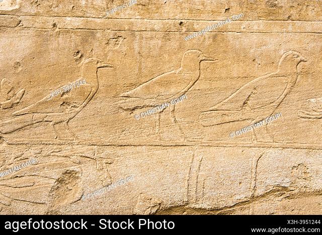 Inscriptions and hieroglyphs on the surrounding walls of the Great Hypostyle Hall in the Precinct of Amon-Re, Karnak Temple Complex, Luxor, Egypt