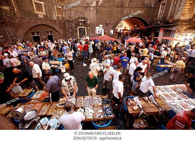 Europa, Italien, Sizilien, Catania Der traditionelle Fischmarkt in der Altstadt von Catania an der Mittelmeer Kueste im osten von Sizilien