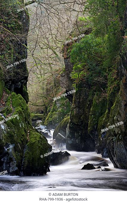 The Fairy Glen near Betws-y-Coed, Snowdonia National Park, Wales, United Kingdom, Europe