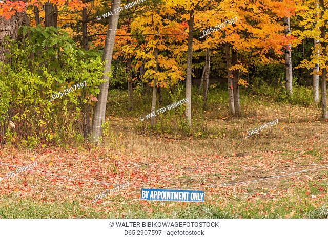 USA, New York, Adirondack Mountains, Clintonville, By Appointment Only sign, autumn