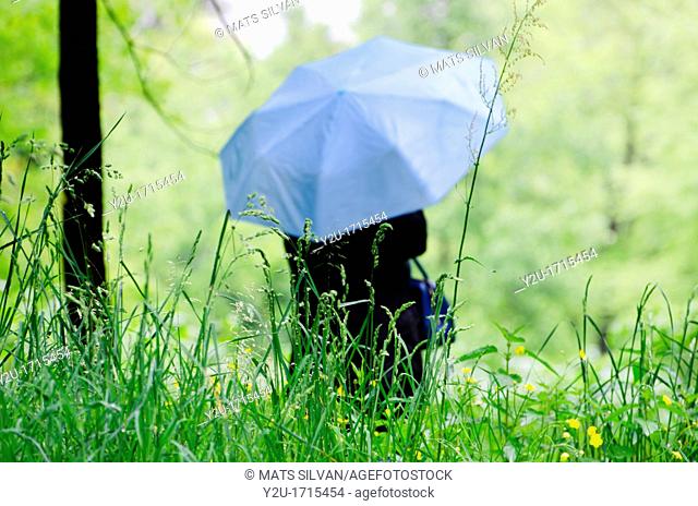 Woman with a blue umbrella on the wet green field with grass and flowers