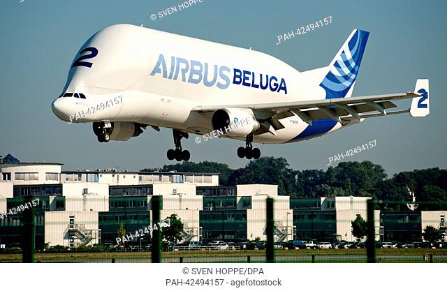 An Airbus Beluga arrives at the production site of airbus in Hamburg-Finkenwerder, Germany, 6 September 2013. The Airbus A300-600ST Beluga is a twin-jet engine...