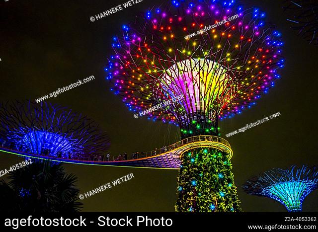 Light show at the Supertree Grove, Gardens by the Bay in Singapore, Asia