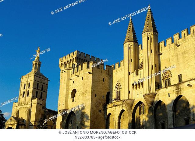 Papal Palace Palais des Papes and Notre Dame des Doms Cathedral  Avignon  Vaucluse  Provence-Alpes-Côte d'Azur  Rhone valley  Provence  France