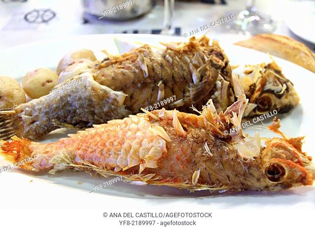 Canarian fishes on plate Spain