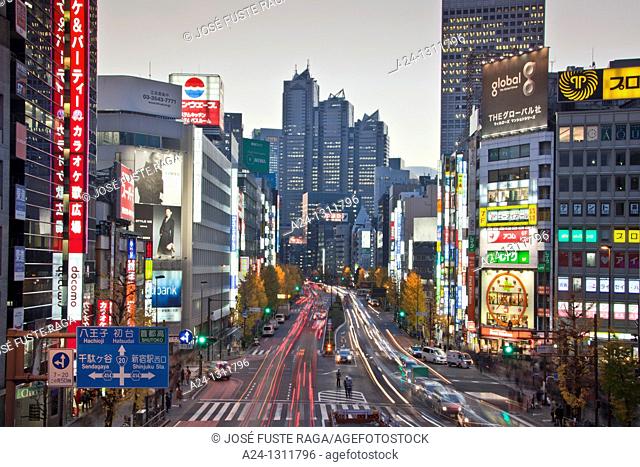 Tokyo City, Shinjuku District, Koshukaido Avenue