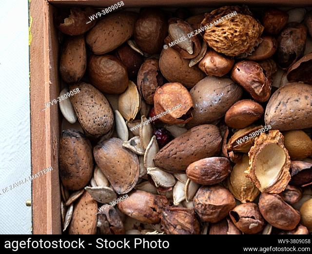Nuts in a box