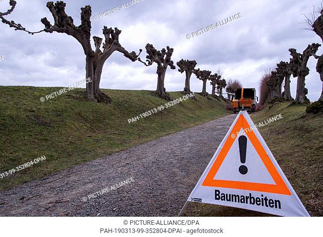 12 March 2019, Mecklenburg-Western Pomerania, Klütz: Tree keepers cut back the shoots in the historic Festonallee in front of the Baroque Bothmer Castle