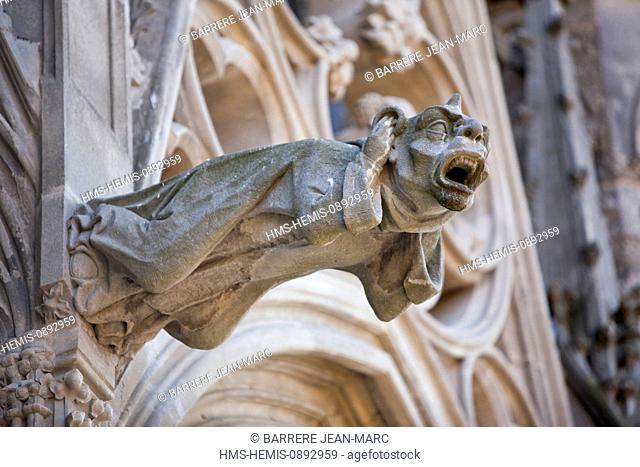 France, Aude, Carcassonne, medieval town listed as World Heritage by UNESCO, St Nazaire Basilica, gargoyle
