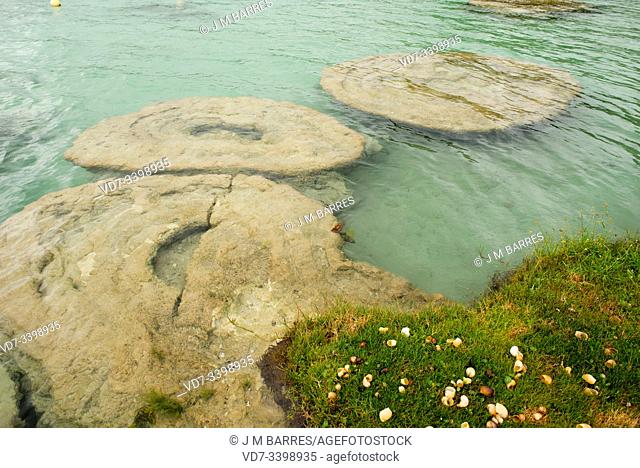 Stromatolites formed by cyanobacteria in Bacalar, Yucatan, Mexico
