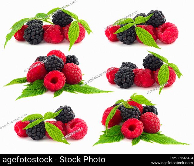 Set of piles of raspberry and blackberry berries with leaves isolated on white background