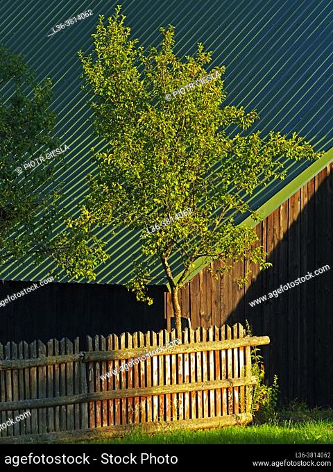 Poland. Roof, tree and fence