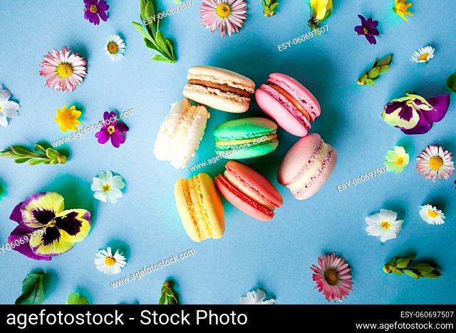 Appetizing colorful macaroons and beautiful flowers on blue background. Flat layout