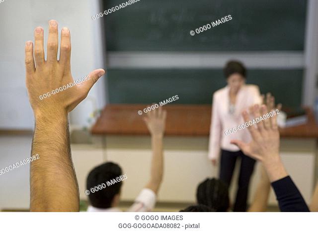 Students raising their hands in class