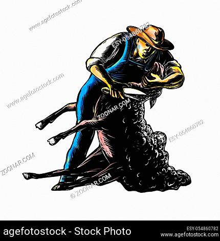 Scratchboard style illustration of sheep shearer or farmer shearing sheep with shears done on scraperboard on isolated background