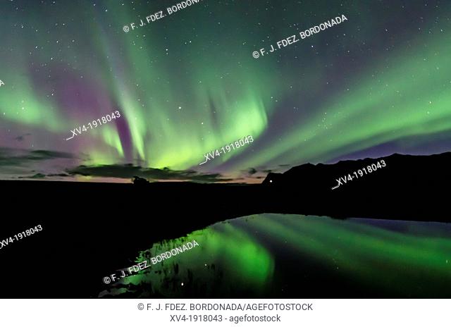 Northern lights in Skaftafell National Park, East of Iceland
