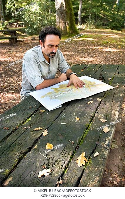Man watching a map in a wooden table in a beech forest (Fagus sylvatica), Cabuerniga valley, Saja-Besaya Natural Park, Cantabria, Spain