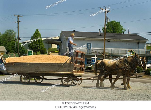 horse, load, transport, cargo, oats, wagon