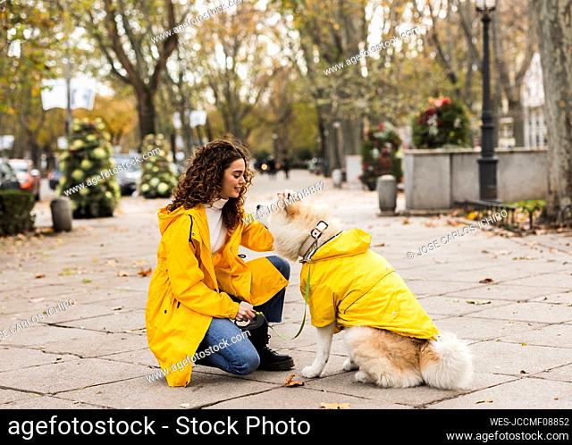 Smiling young woman stroking dog on footpath
