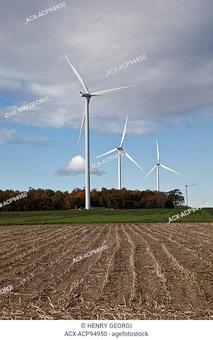 Windmills in farmland of southwestern Ontario (near Lake Erie), Ontario, Canada