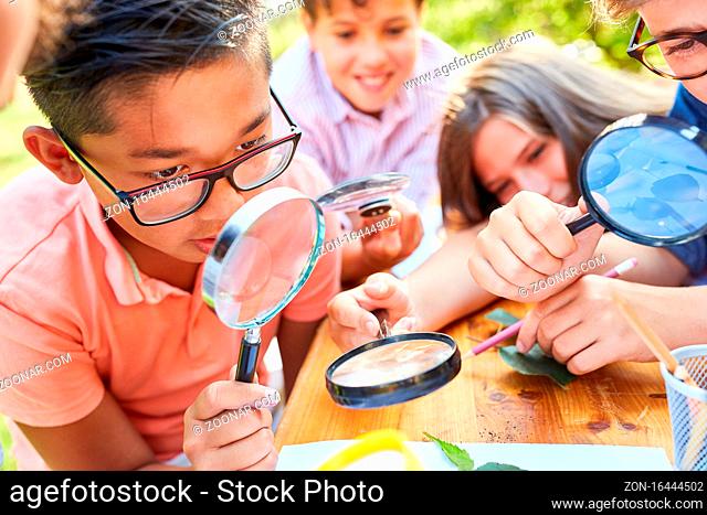 Kinder im ökologischen Ferienkurs betrachten neugierig Blatt durch Lupe im Sommercamp