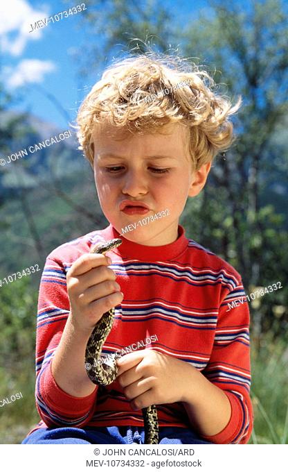 CHILD - Boy holding Viperine Water snake (Natrix maura)