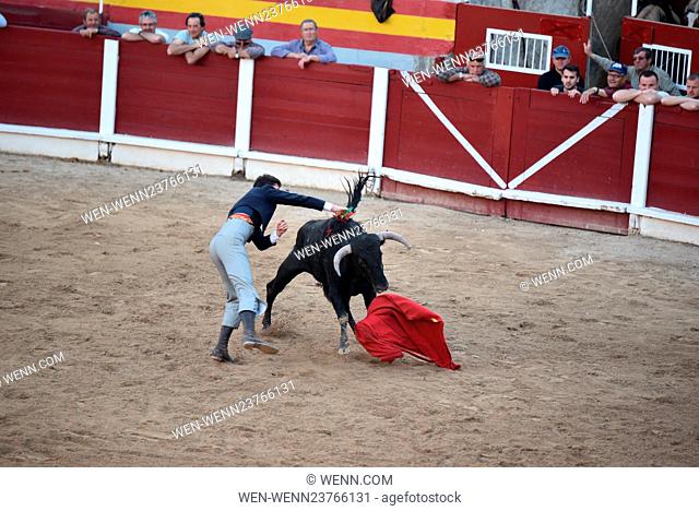 On the island of Majorca, Spain they want to pass a law banning the sport of bullfighting. In response to this Matador José Barceló Campanilla believes he's...