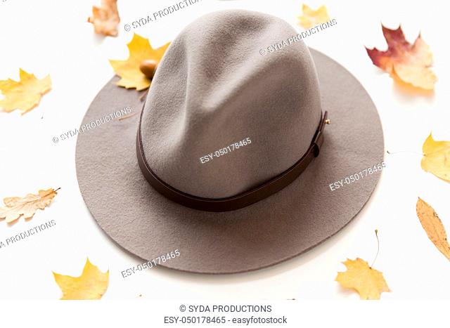 hat and fallen autumn leaves on white background