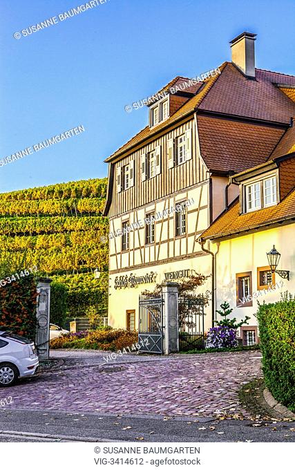 Vineyard cultivation between Sinzheim and Buehl. Castle Neuweier with the Roetteles Restaurant and residence. - BADEN-BADEN, BADEN-WUERTTEMBERG, GERMANY
