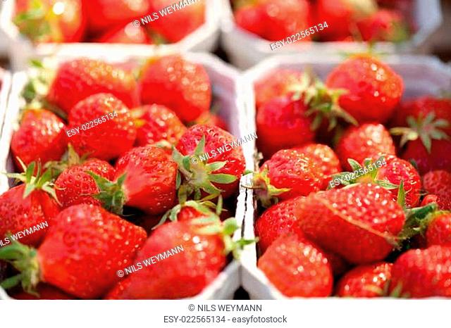 frische süße rote erdbeeren im sommer auf dem markt